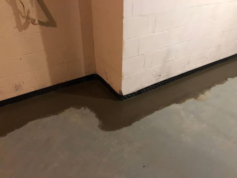 Basement Waterproofing in Pinckney, MI