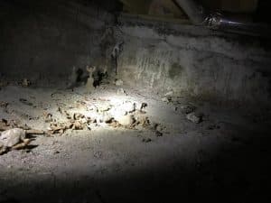 Before crawlspace waterproofing