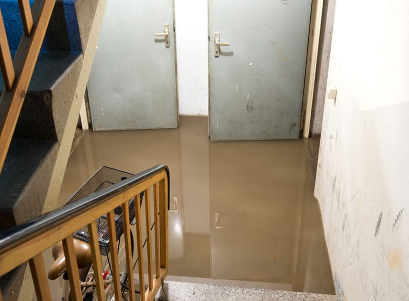 Basement Waterproofing Flint, MI | Bluebird CFW