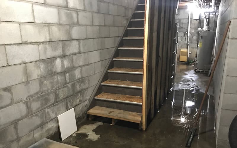 Basement Waterproofing in Brighton, MI