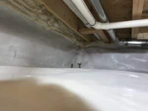basement repair process