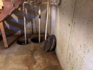 basement waterproofing bluebird