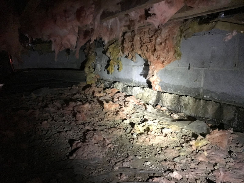 Livonia Crawlspace Waterproofing Services