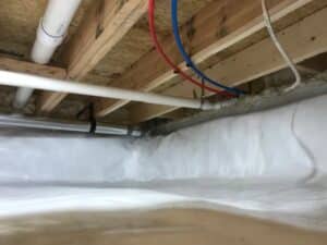 bluebird basement repair process
