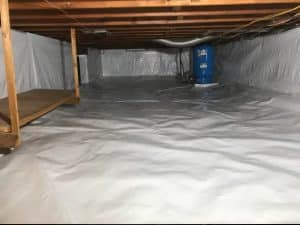 bluebird work on crawlspace