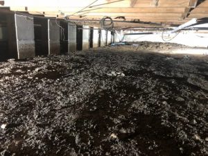 crawl space