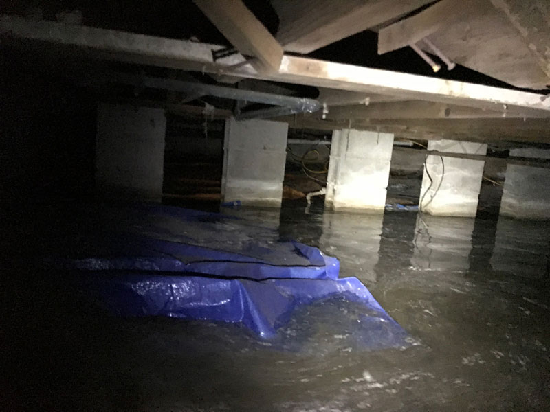 Crawl Space Waterproofing Flint, MI | Bluebird CFW