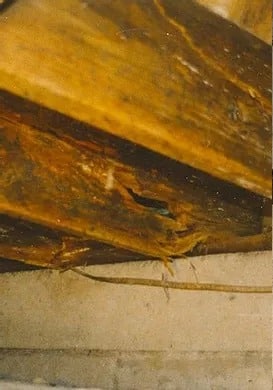 damaged wood