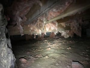 dirty crawlspace (before)