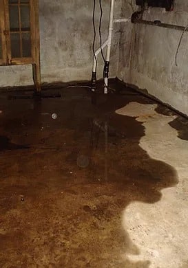 foundation wet