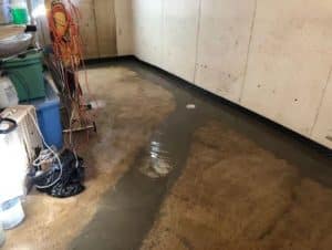plastered basement