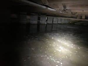 water filled in basement bluebird