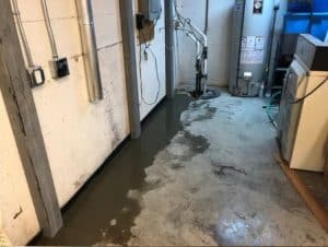 water on basement bluebird