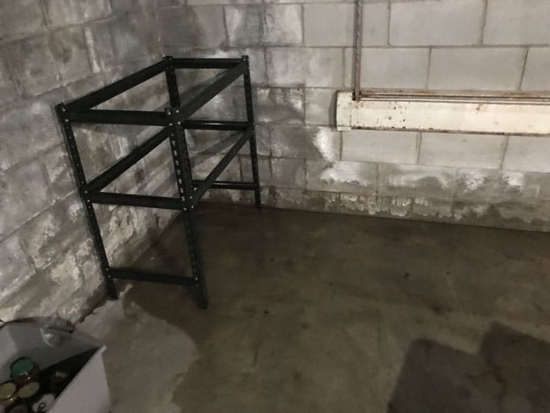 basement waterproofing in Warren, MI