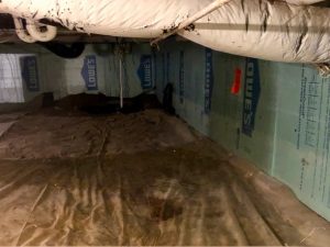 work on crawlspace by bluebird