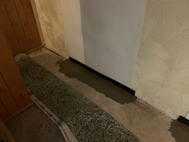 Basement Waterproofing in Fowlerville, MI