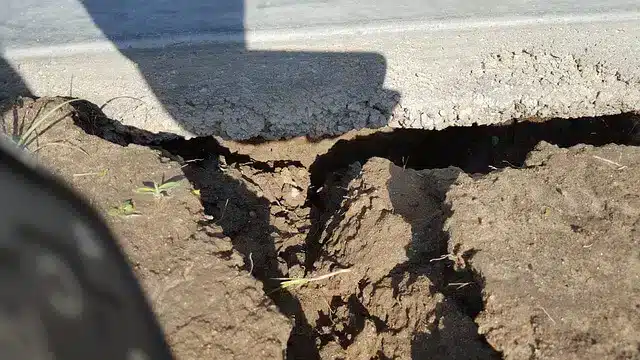foundations in Michigan